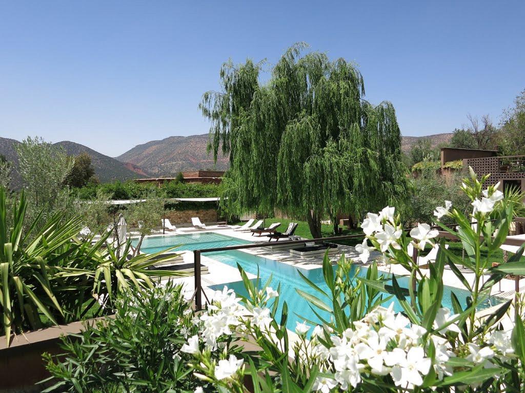 Guest house Domaine Malika - Adults Only