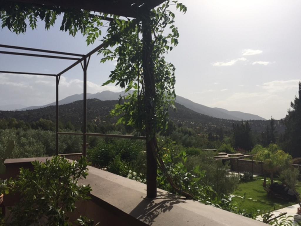 Guest house Domaine Malika - Adults Only 4*